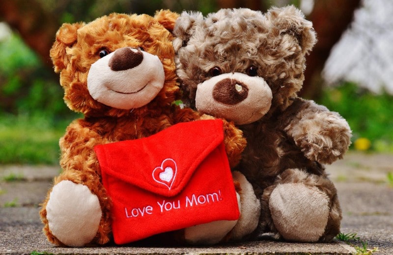Teddy Bear for Mother's Day