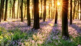 GOR FACTORY, odlično podjetje, usmerjeno v ustvarjanje vrednosti Gor Factory